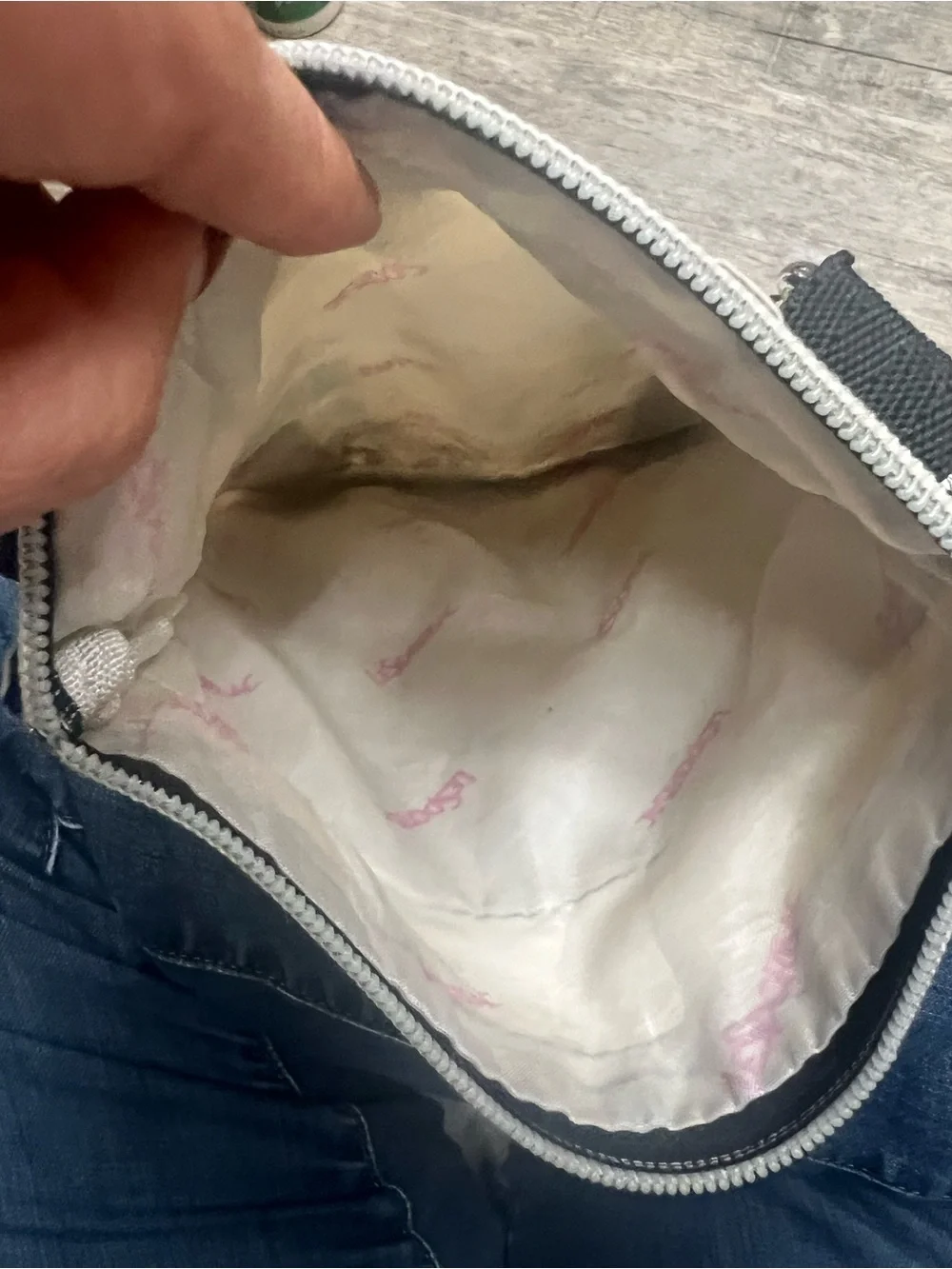Lesportsac fun crossbody